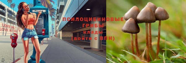 mdpv Зеленокумск