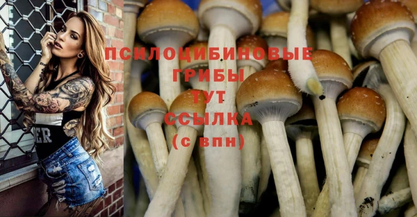 первитин Зеленодольск