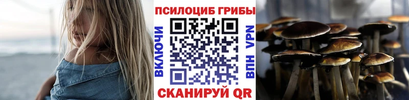 Псилоцибиновые грибы GOLDEN TEACHER МЕГА Сегежа