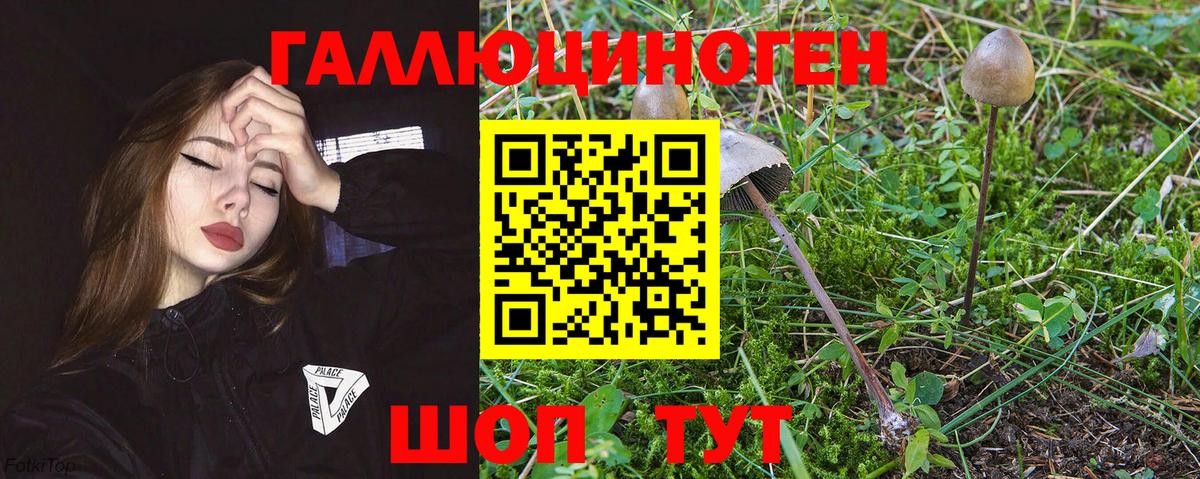 Сегежа  Псилоцибиновые грибы мицелий  Вход с VPN 