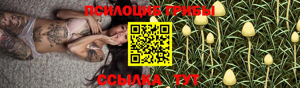 Псилоцибиновые грибы Psilocybine cubensis Сегежа