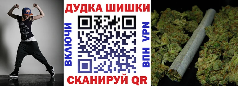 Бошки Шишки план  Сегежа 